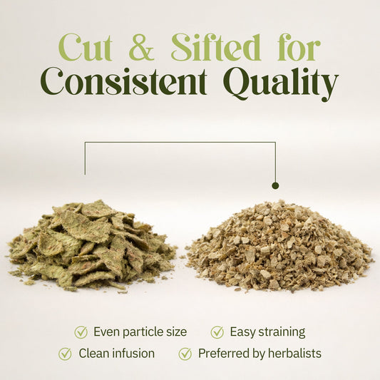 Mullein Leaf Tea: How to Brew It, Traditional Uses & What to Expect (2026 Guide)