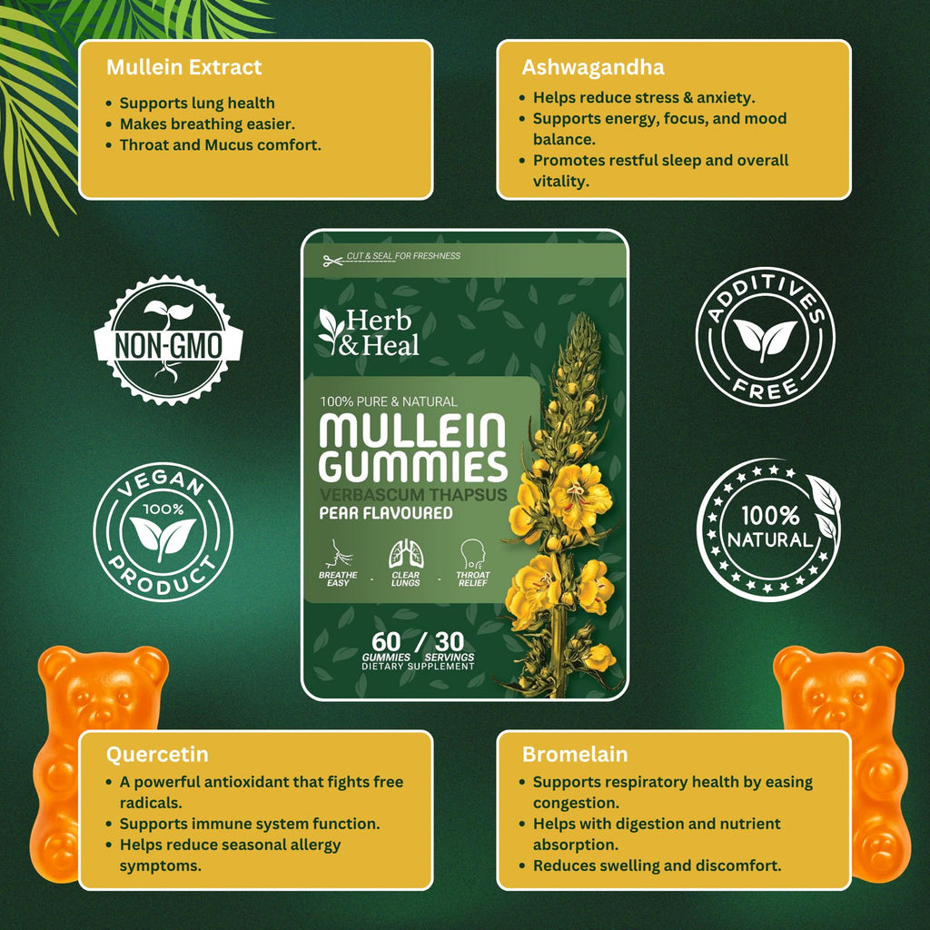 Mullein Gummies for Lungs | Herbal Lung Cleanse & Detox Support | Blend of Mullein Leaf Extract, Ashwagandha, Bromelain & Quercetin for Breathing & Mucus Relief | 60 Gummies
